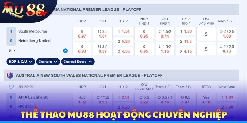 Thể thao MU88 hoạt động chuyên nghiệp